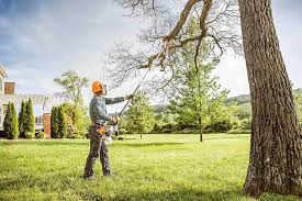 Tree and Shrub Care in Garden City, MO