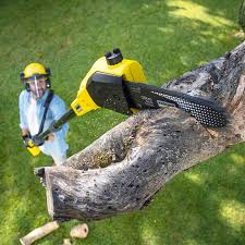 Professional  Tree Services in Garden City, MO